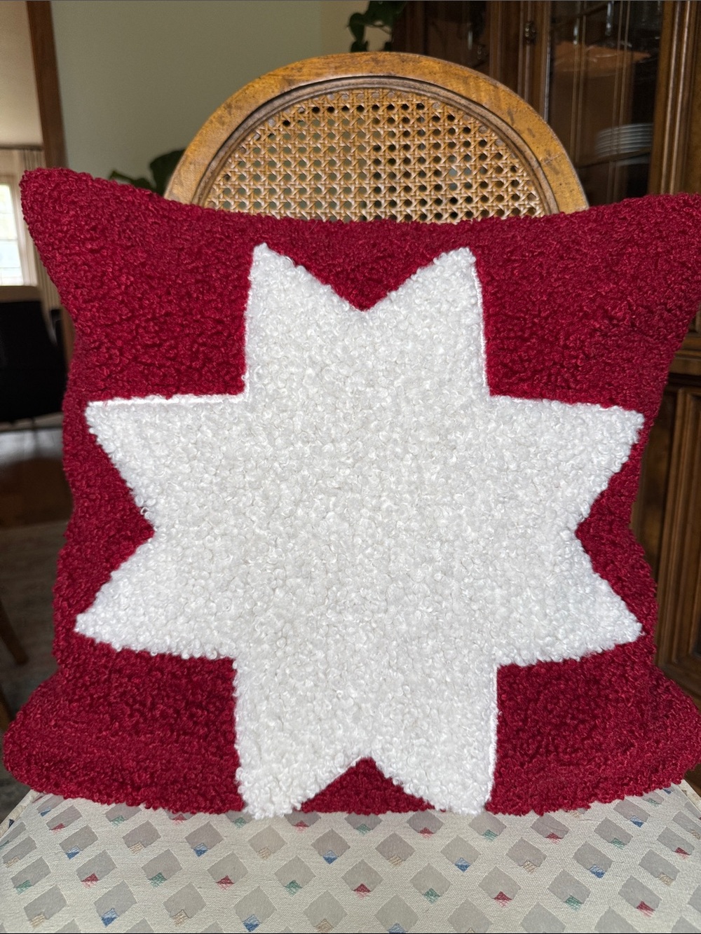Pottery Barn Red and White Star Holiday Pillow Cover
